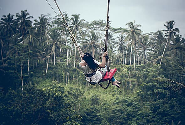 Les projets img 06 free img