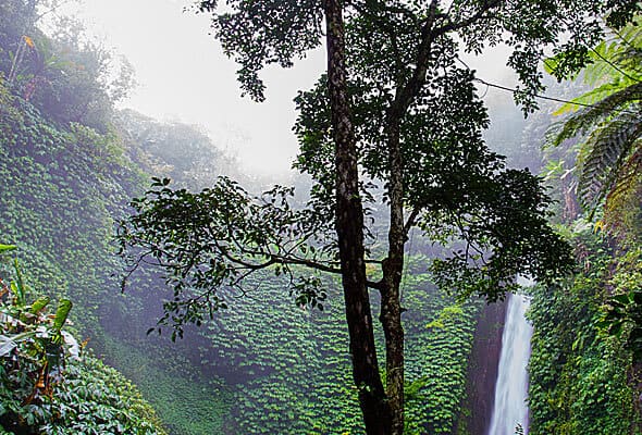 Les projets img 07 free img